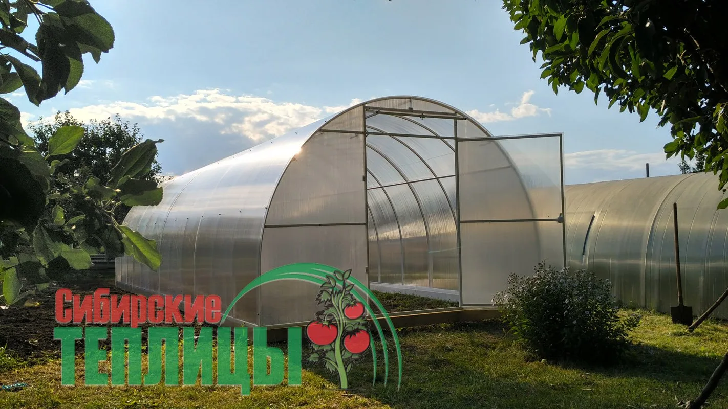 Теплица сверхпрочная Сибирская XXL 10 метров (ТРУБА 40х20, шаг 0,67)
