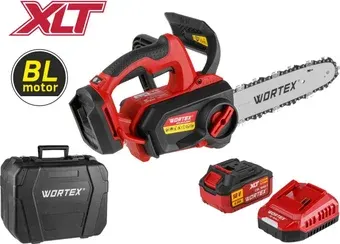 Аккумуляторная пила Wortex CEC 2518-3 ALL1 XLT Set 2325004 (с 1-им АКБ, кейс)