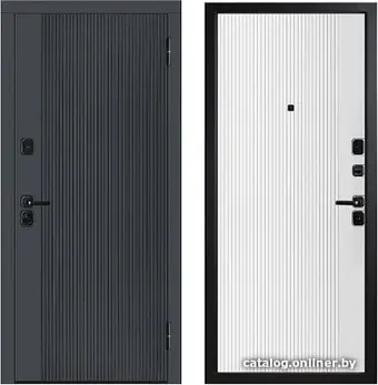 Металлическая дверь Металюкс М748 (96x205)