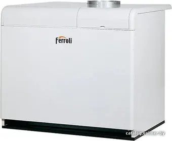 Отопительный котел Ferroli Pegasus F3 N 2S 289
