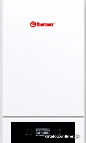 Отопительный котел Thermex Quantum E906